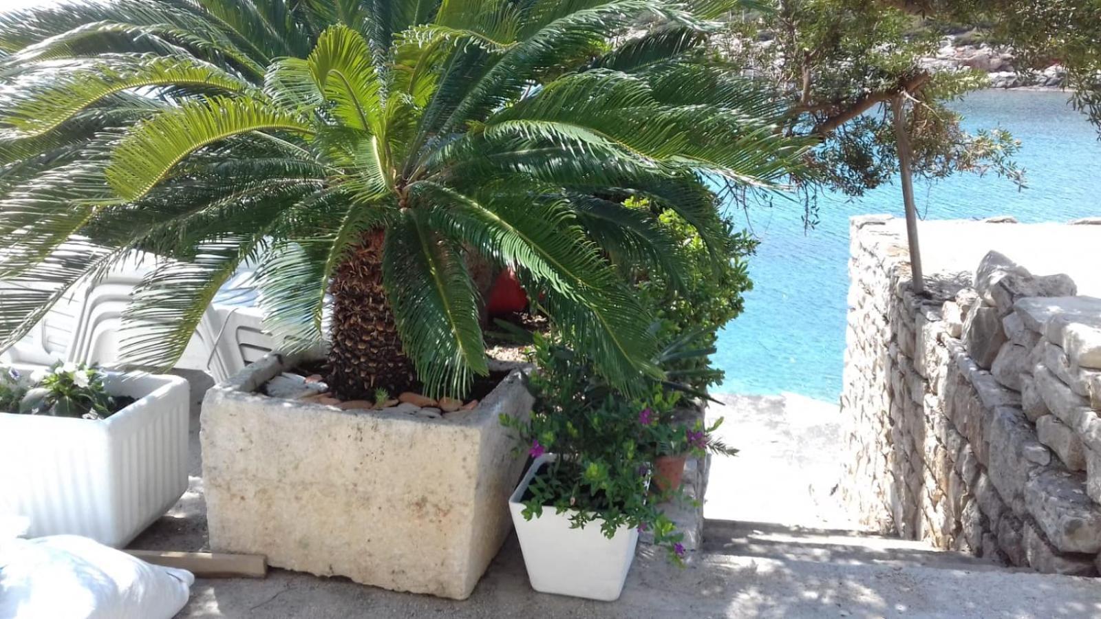 Apartmani Paulo Vis Buitenkant foto